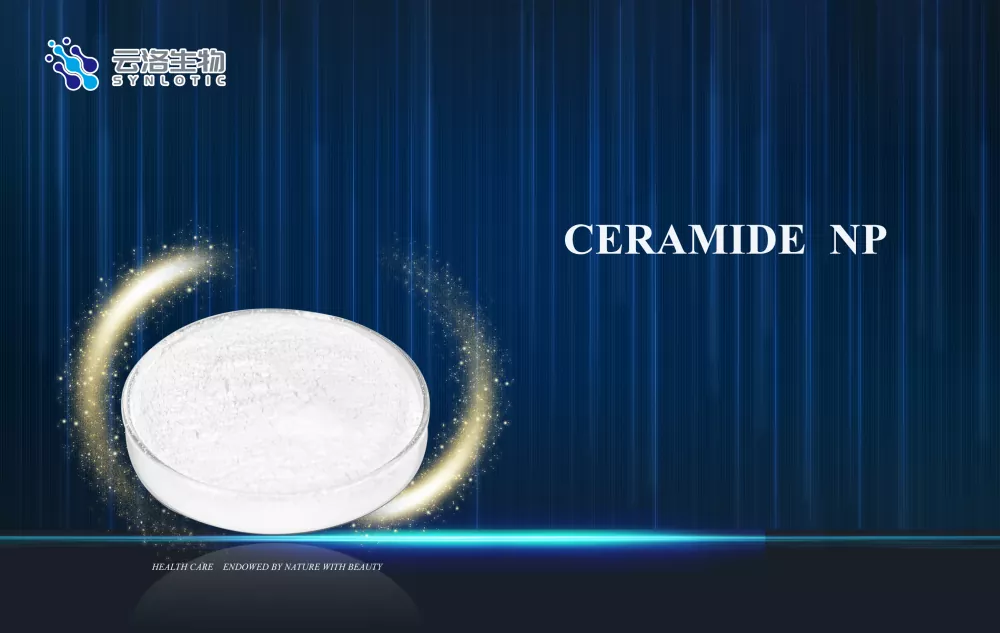 Can Ceramide NP Replace Hyaluronic Acid for Long-Term Skin Hydration