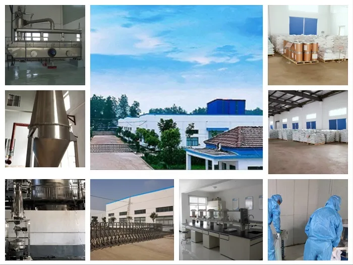 China Food Grade Monosodium Phosphate Dihydrate 13472-35-0