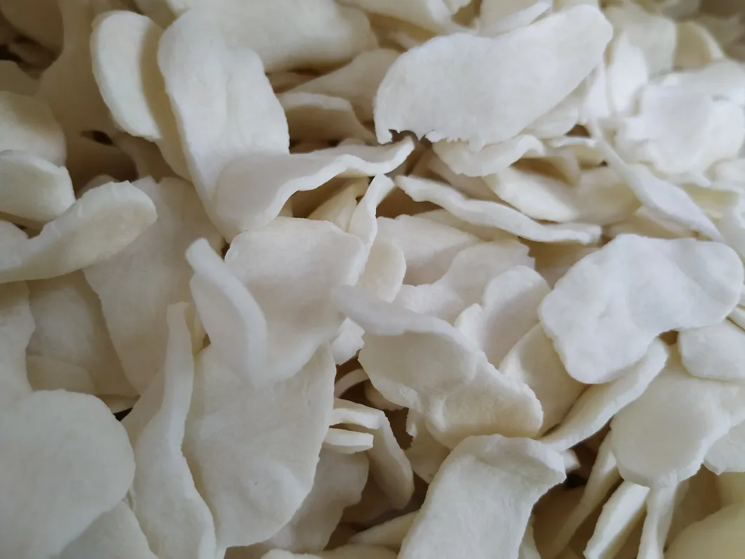 China High Quality Hot Sell Manufacture of Neoprene Chloroprene Rubber