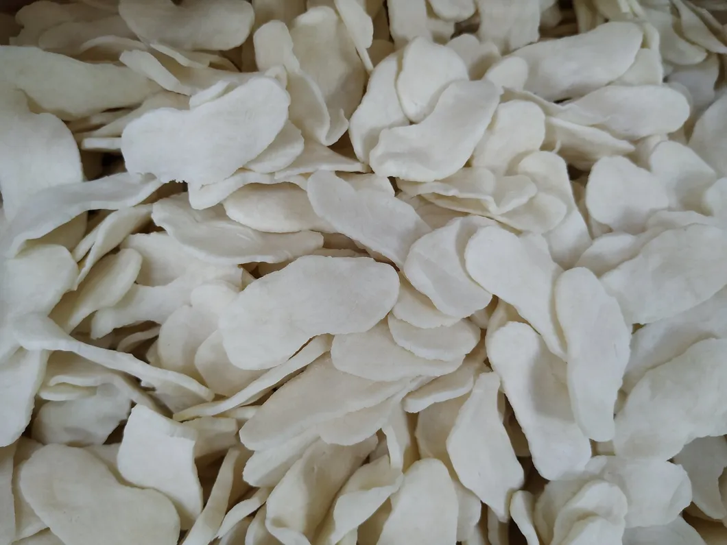 China High Quality Hot Sell Manufacture of Neoprene Chloroprene Rubber