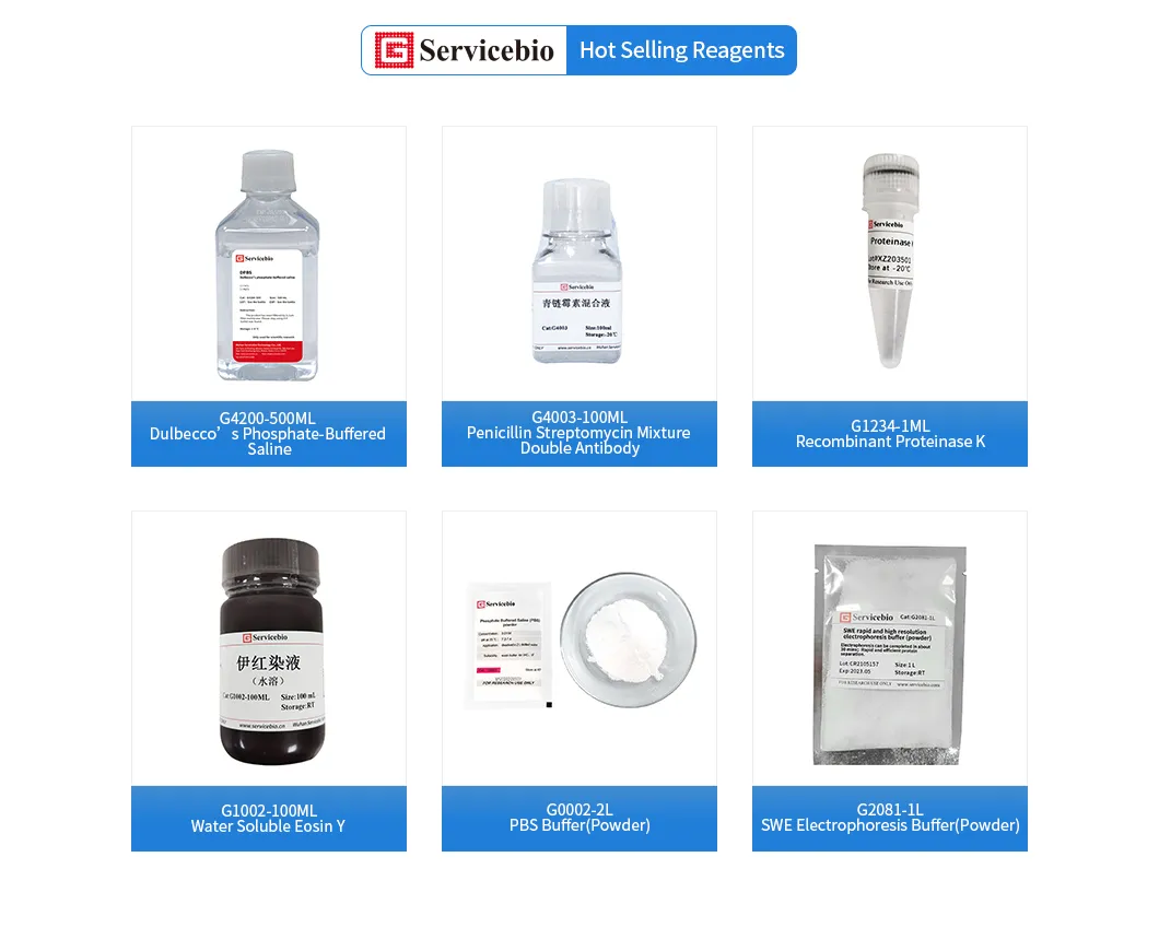 Dpbs Dulbecco′ S Phosphate Buffered Saline Liquid 500ml