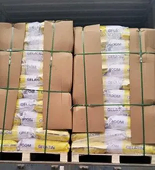 Good Quality Gelatin CAS 9000-70-8 with Top Purity