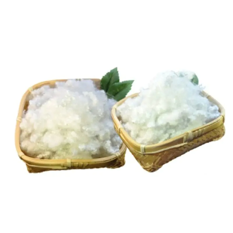 Polyester Resin&Fiber