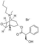 Scopolamine Butylbromide Injection