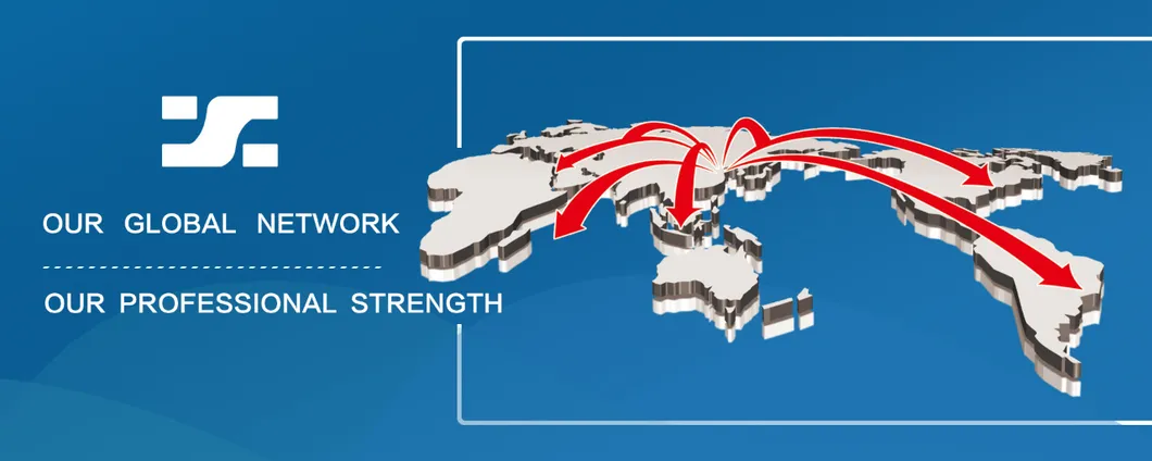 Msp Sodium Dihydrogenphosphate 98%Min Xinsheng Factory Direct Selling Additives for Industrial Chemical Products