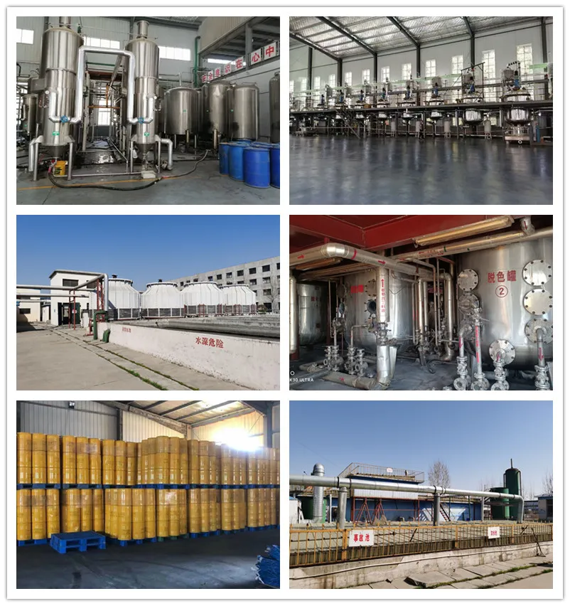 CAS 5413-05-8 Pmk New BMK Glycidate CAS 13605-48-6 16648-44-5 80532-66-7 Powder Liquid Safe Delivery to Canada, Brazil, Netherland
