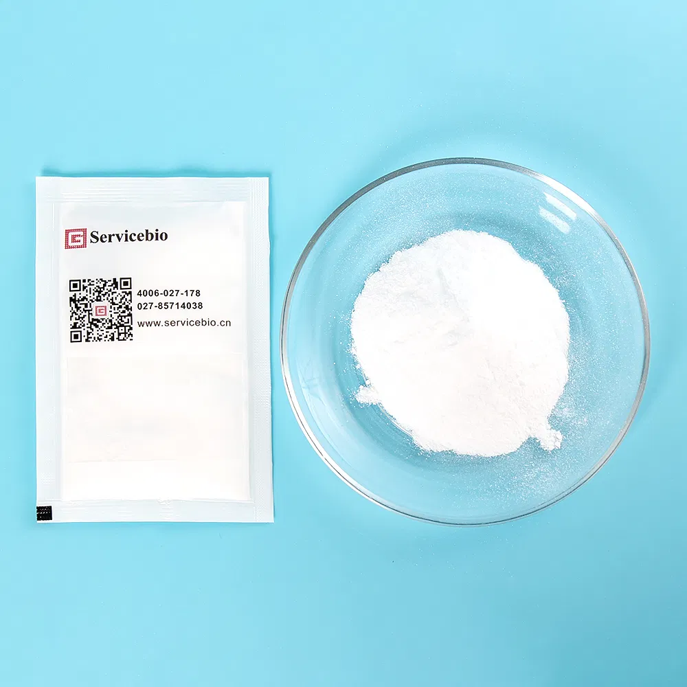 Phosphate Buffered Saline (PBS) Powder