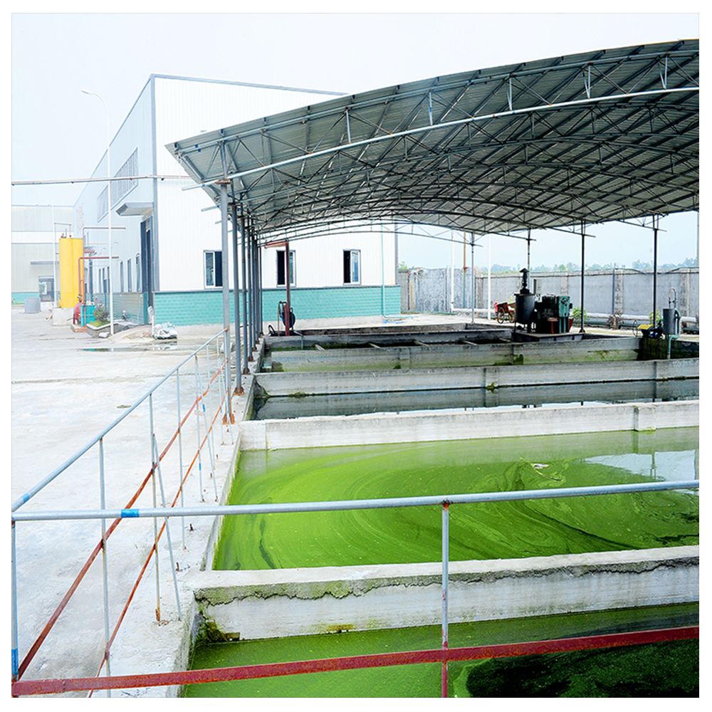 Red Phosphorous 98.5% Purity Industrial Grade