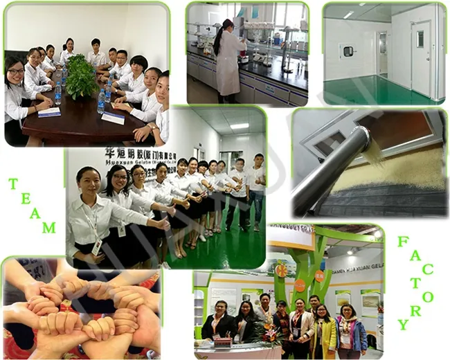 Top Quality Industrial Gelatin for Glue